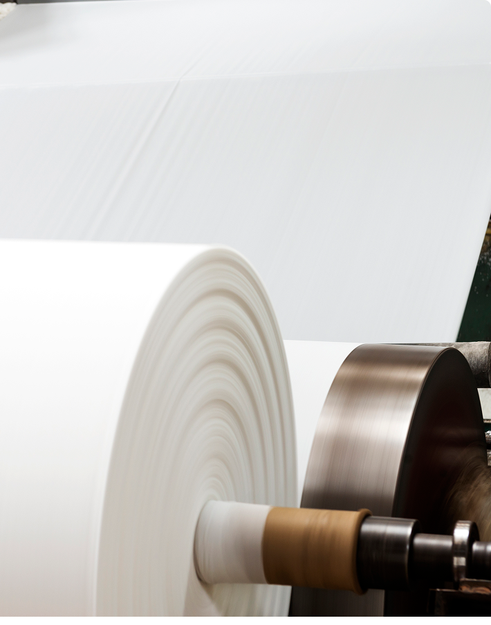 Banda recolectora de gallinaza de alta resistencia fabricada en copolímero